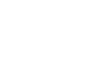 槍