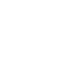 刀