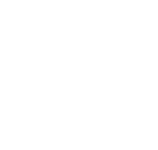 拳